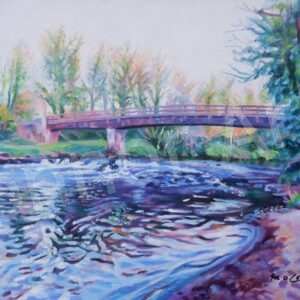 Roe Valley Foot Bridge