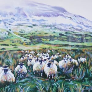 Benbradagh Flock