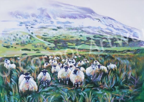Benbradagh Flock